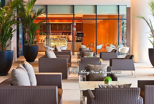 Quán cafe siêu đẹp tại Nha Trang: Uống cà phê ở đâu Nha Trang ngon, giá rẻ, nổi tiếng nhất?