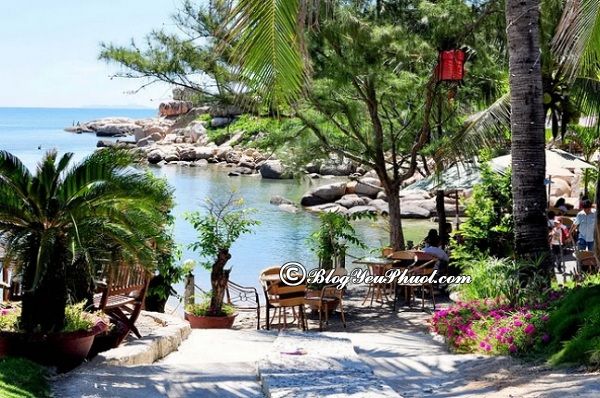 Những quán cafe đẹp khó cưỡng tại Nha Trang: Địa chỉ các quán cà phê ven biển, thoáng mát, view đẹp ở Nha Trang