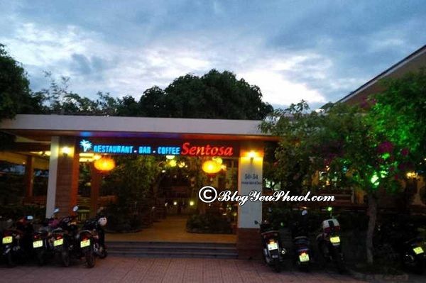 Địa chỉ những quán cafe đẹp tại Nha Trang: Uống cà phê ở đâu Nha Trang ngon, đẹp, giá rẻ?