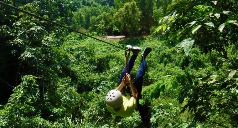 Kong Forest| Trượt cáp trên không Zipline Canopy